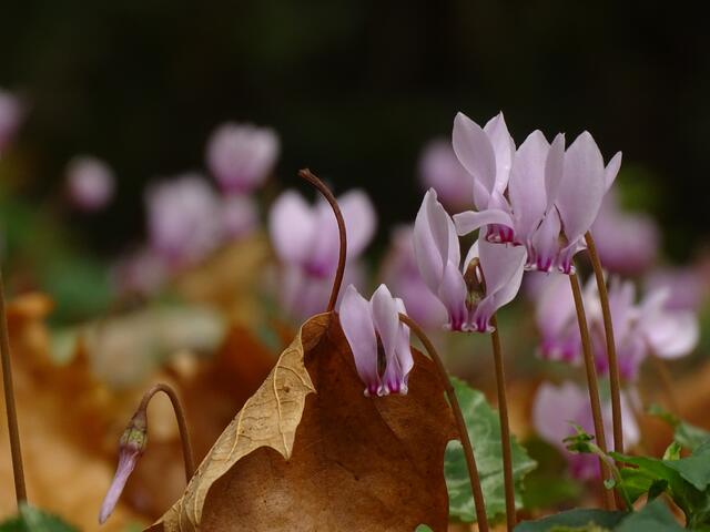 Foto: Sabrina Kliewer
