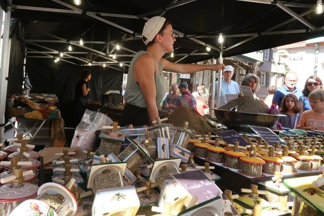 Foto: Urheber aller Bilder Anton Bauer