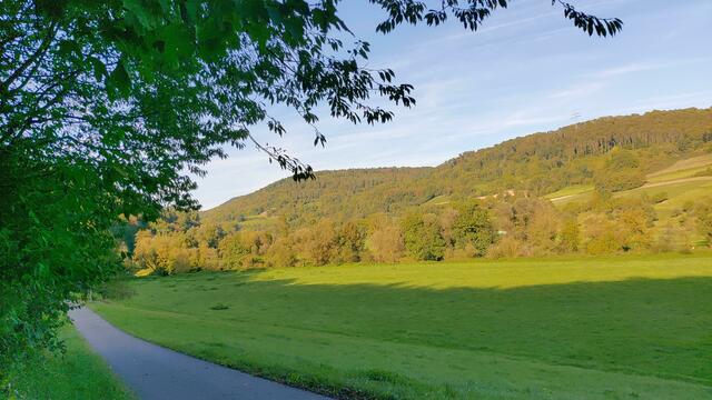 🌞🌲😍🌳🌞 | Foto: Ralf Röser