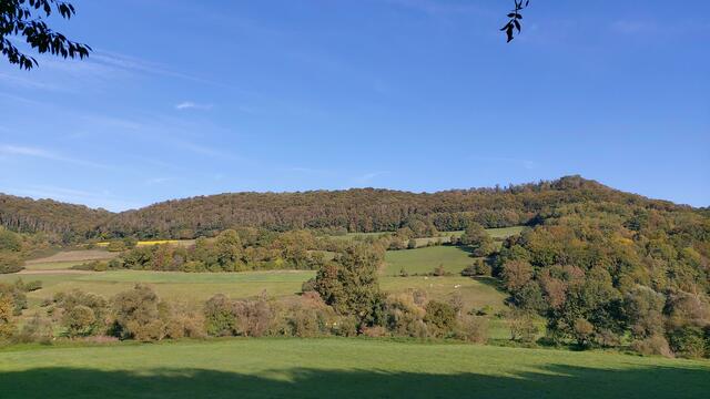 🌞🌲😍🌳🌞 | Foto: Ralf Röser