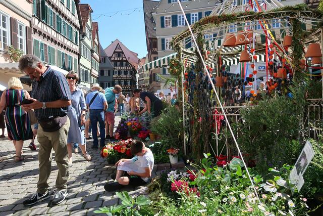 Foto: Urheber aller Bilder Anton Bauer