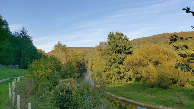 🌞🌲😍🌳🌞 | Foto: Ralf Röser