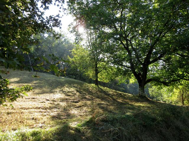 Der Nonnenbuckel im geheimnisvollen Licht | Foto: WandernGabyErich