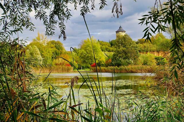 September: Der Ziegeleipark Heilbronn mit dem Böckinger Wasserturm im Herbstkleid.  | Foto: Ulrich Seidel