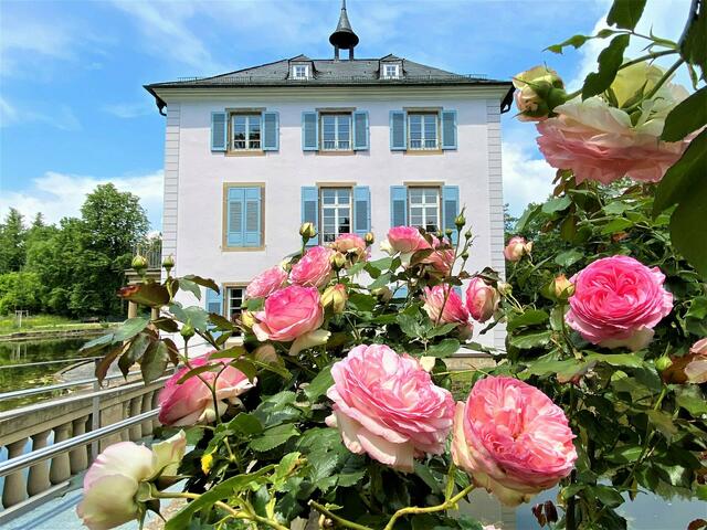 Juni: Durch die Rosen wirkt das Trappenseeschlösschen in Heilbronn noch romantischer.  | Foto: Heide Böllinger
