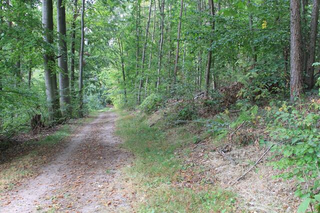 und weiter | Foto: Ralf Röser