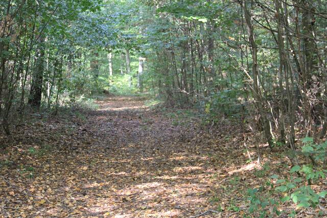 traumhaft | Foto: Ralf Röser