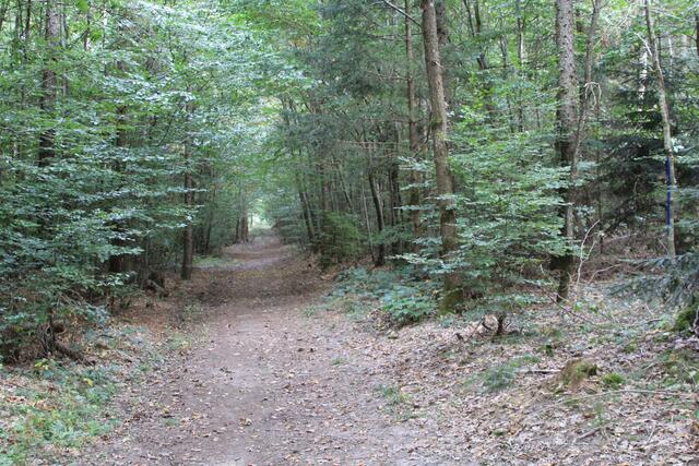 so schön | Foto: Ralf Röser