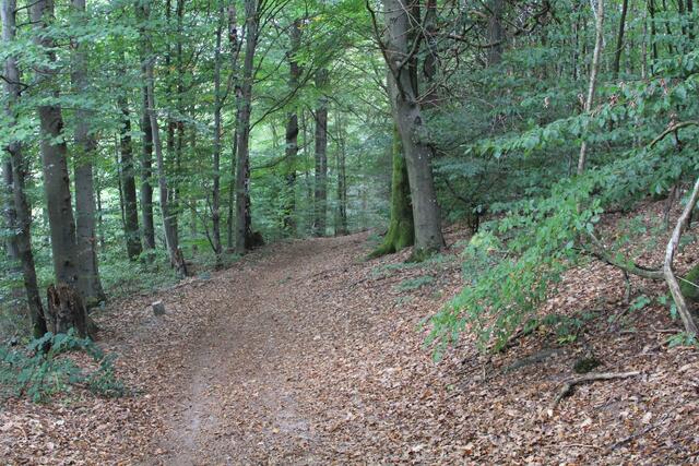 und weiter | Foto: Ralf Röser