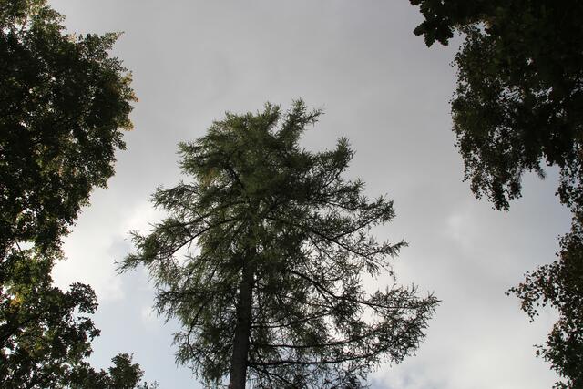 oben | Foto: Ralf Röser