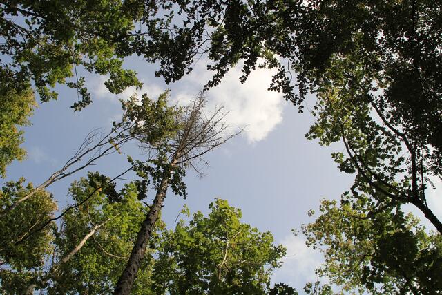 oben | Foto: Ralf Röser