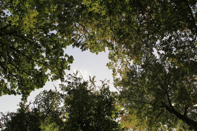 oben | Foto: Ralf Röser