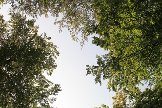 oben | Foto: Ralf Röser