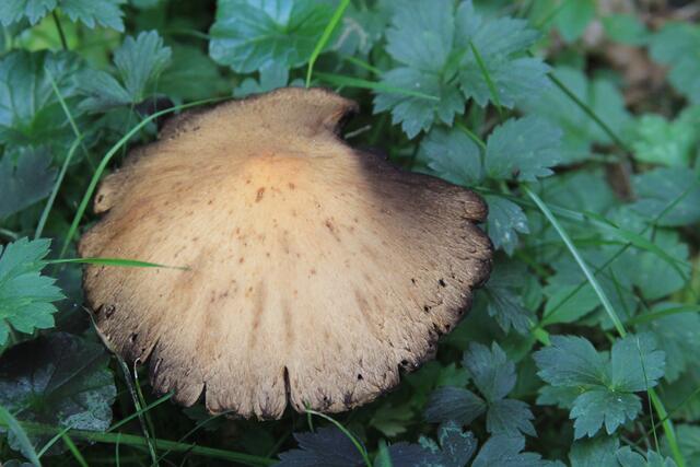 cool | Foto: Ralf Röser