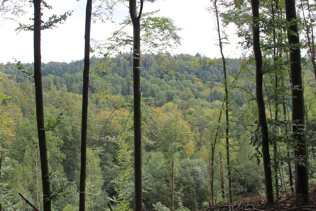 schöne Aussicht | Foto: Ralf Röser