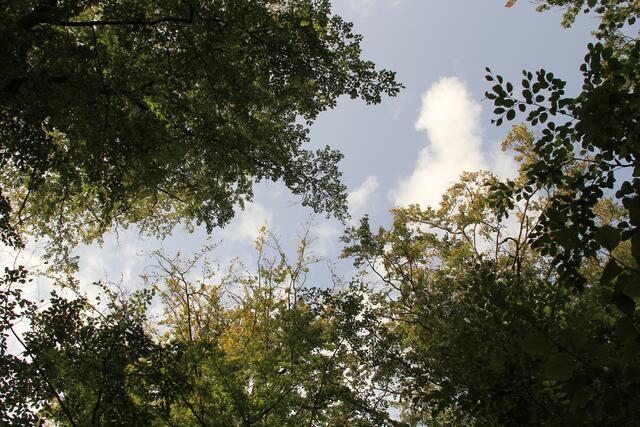 oben | Foto: Ralf Röser