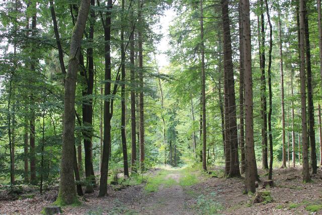 da lang | Foto: Ralf Röser