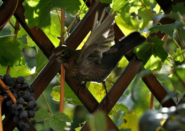Wenns nur nicht so rutschig hier wäre. | Foto: Daniela Somers