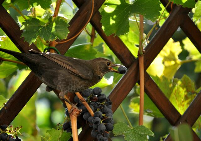 Klasse. Die sind richtig süß! | Foto: Daniela Somers