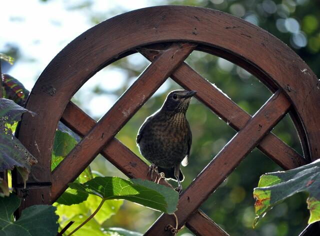 Zwischendurch immer mal einen Stock höher zum erkunden und Pause machen. | Foto: Daniela Somers