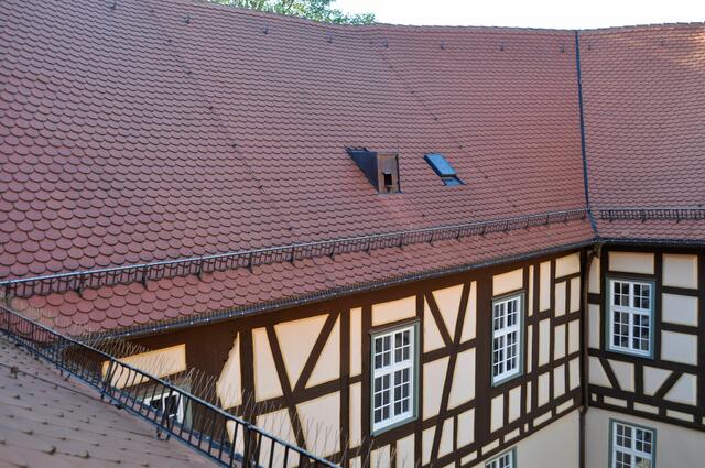Blick aus den Fenstern der oberen Etage. Auch an einen Turmfalkenkasten wurde gedacht! | Foto: Daniela Somers