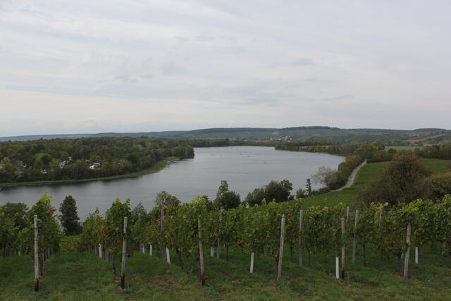 Blick vom Wengertshäusle auf den See, Foto: Marga Specht,
hochgeladen von Berlichinger Kegler | Foto: Marga Specht