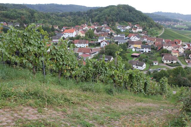 Blick auf Eichelberg, Foto: Marga Specht, hochgeladen von
Berlichinger Kegler | Foto: Marga Specht