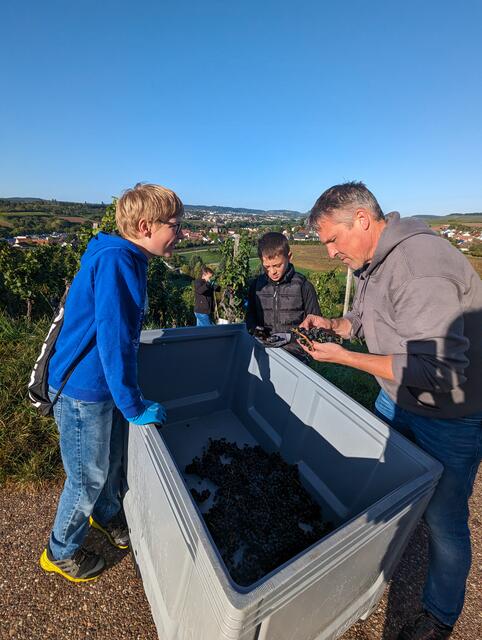 Foto: Ev. Paul-Distelbarth Gymnasium Obersulm