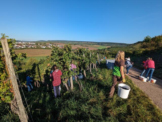 Foto: Ev. Paul-Distelbarth Gymnasium Obersulm