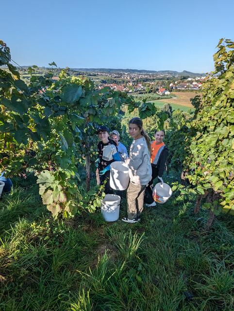 Foto: Ev. Paul-Distelbarth Gymnasium Obersulm