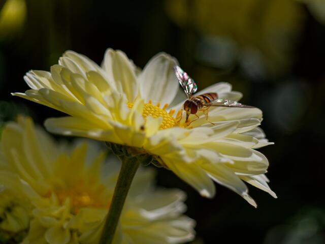 Foto: Eigenes Bild