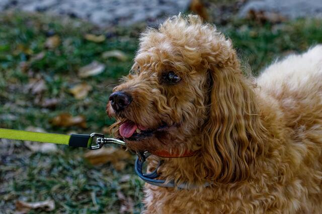 wie es sich gehört: die Beste am Schluß :-))) | Foto: WKY