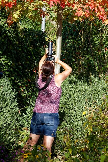 voller Einsatz 😊 | Foto: WKY