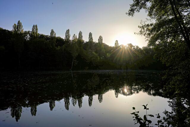 Foto: Ulrich Seidel