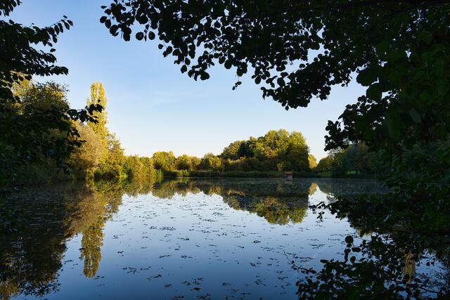 Foto: Ulrich Seidel