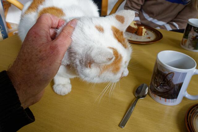 den kenne ich doch! | Foto: WKY