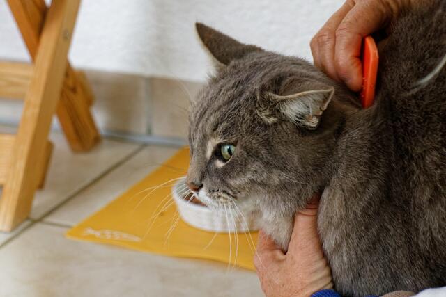 diese fürsorgliche Mom nervt! | Foto: WKY