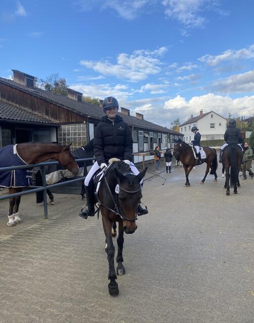 Foto: Reiterverein Heilbronn e.V.