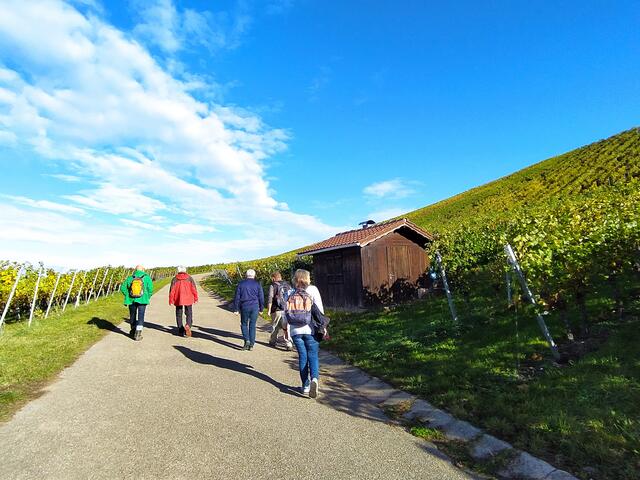 Es ist so herrlich in der Oktobersonne zu wandern | Foto: Sigrid Schlottke