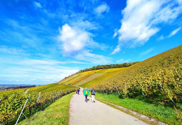 Die Farben, der Tag, die Tour, der Himmel, die Wolken und die Weinberge, die in der Sonne golden leuchten - einfach wunderschön 😍 | Foto: Sigrid Schlottke
