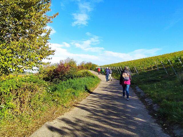 Puuuh, endlich oben - auf dem ersten höheren Weinbergweg angekommen | Foto: Sigrid Schlottke