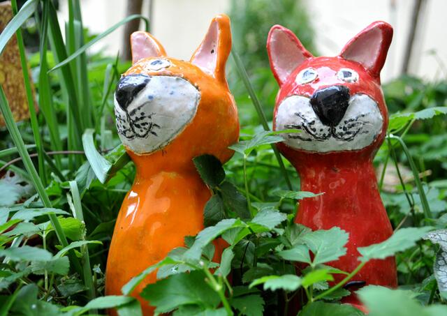 Auch den Katzen wird es langsam ungemütlich draußen. | Foto: Daniela Somers