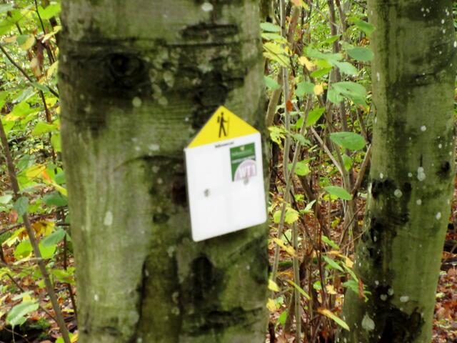 Eigentlich sollte es zur Abwechslung mal nicht der Steinsfelder Weg, sondern dieser sein, der als WT1 vom Heilbronner Land ausgewiesen ist.  | Foto: WandernGabyErich