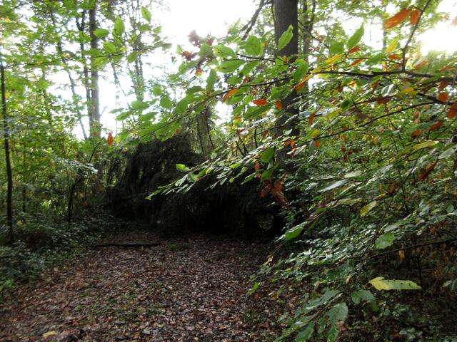 Nachdem wir um dieses Hindernis herum waren, mussten wir leider feststellen, dass es nicht das einzige ist und drehten lieber um.  | Foto: WandernGabyErich