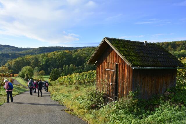 bergab zwischen Jungenberg und Hungerberg | Foto: Michael Harmsen