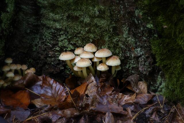   | Foto: Michael Harmsen