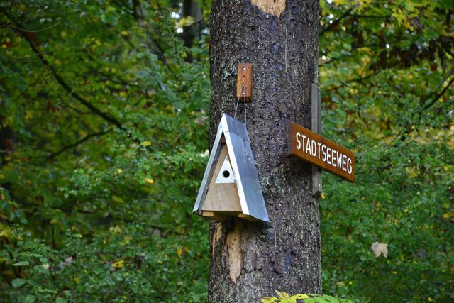 Luxus Nistkästen im Stadtseetal | Foto: Michael Harmsen