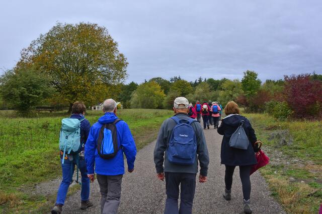 Noch ist es trocken, aber alle Wanderer sind ja gut gerüstet.
Farbenfroh die Waldheide | Foto: Michael Harmsen