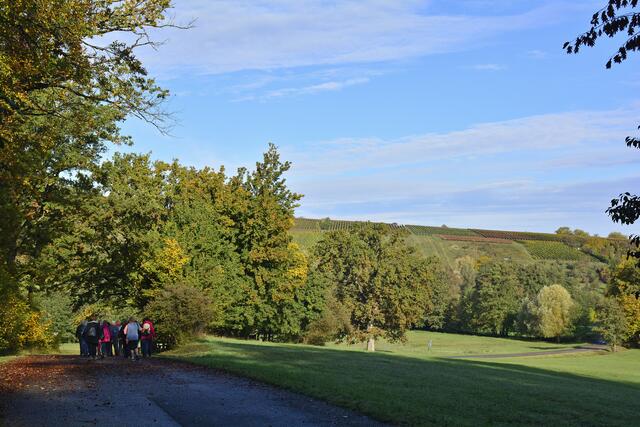 Im Stadtseetal, Herbst lag in der Luft | Foto: Michael Harmsen