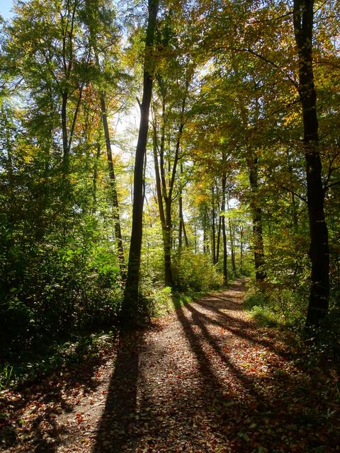 Licht und Schatten | Foto: Sabrina Kliewer